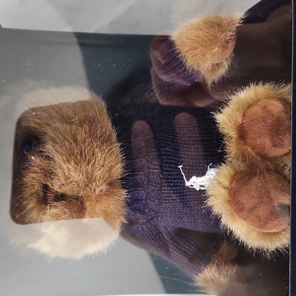 Ralph Lauren THE POLO BEAR Plush Teddy 2020 Limited Ed Blue Sweater - Picture 2 of 3